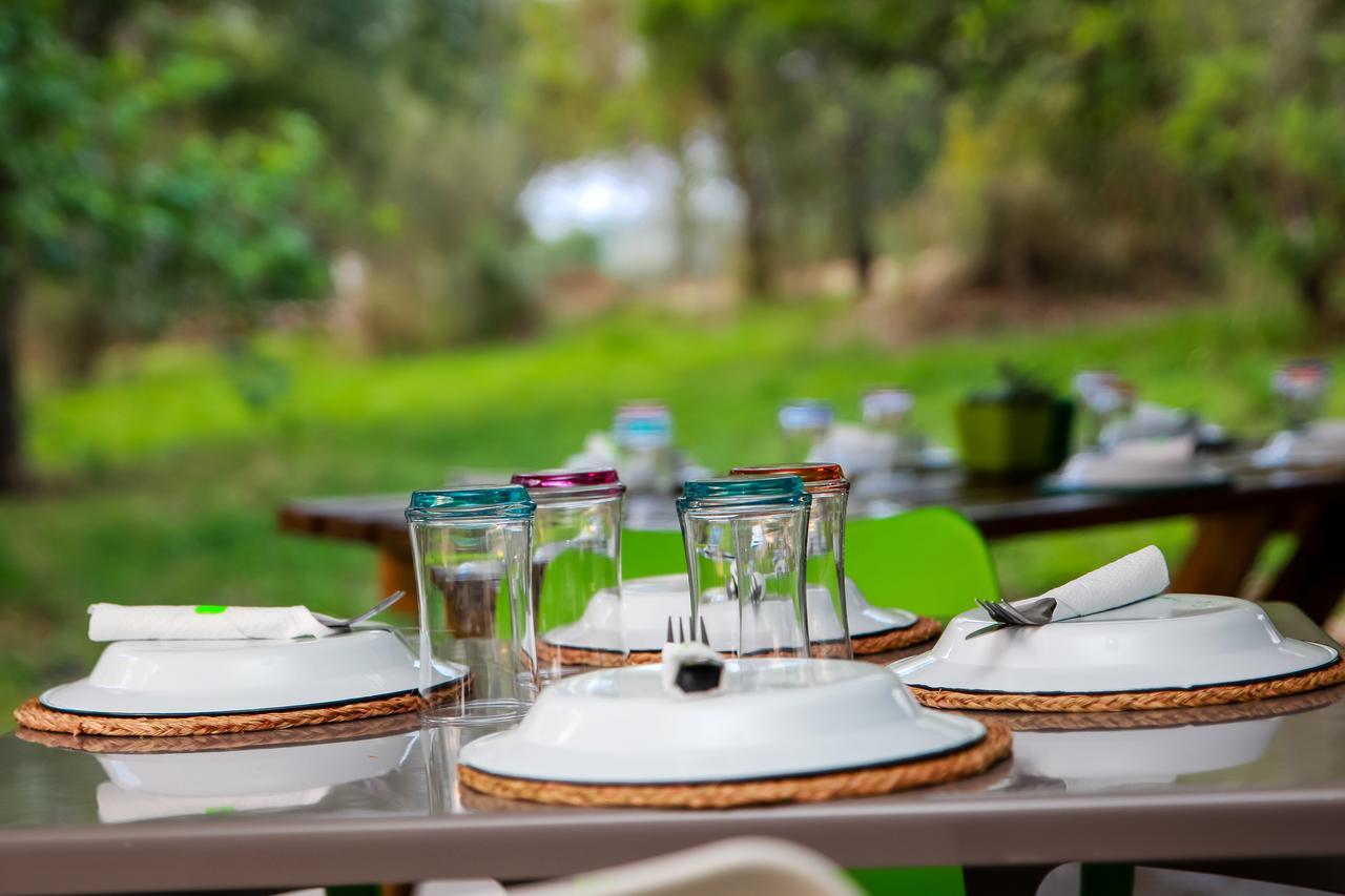 Bushbaby Lodge At Nkonyeni Μανζίνι Εξωτερικό φωτογραφία