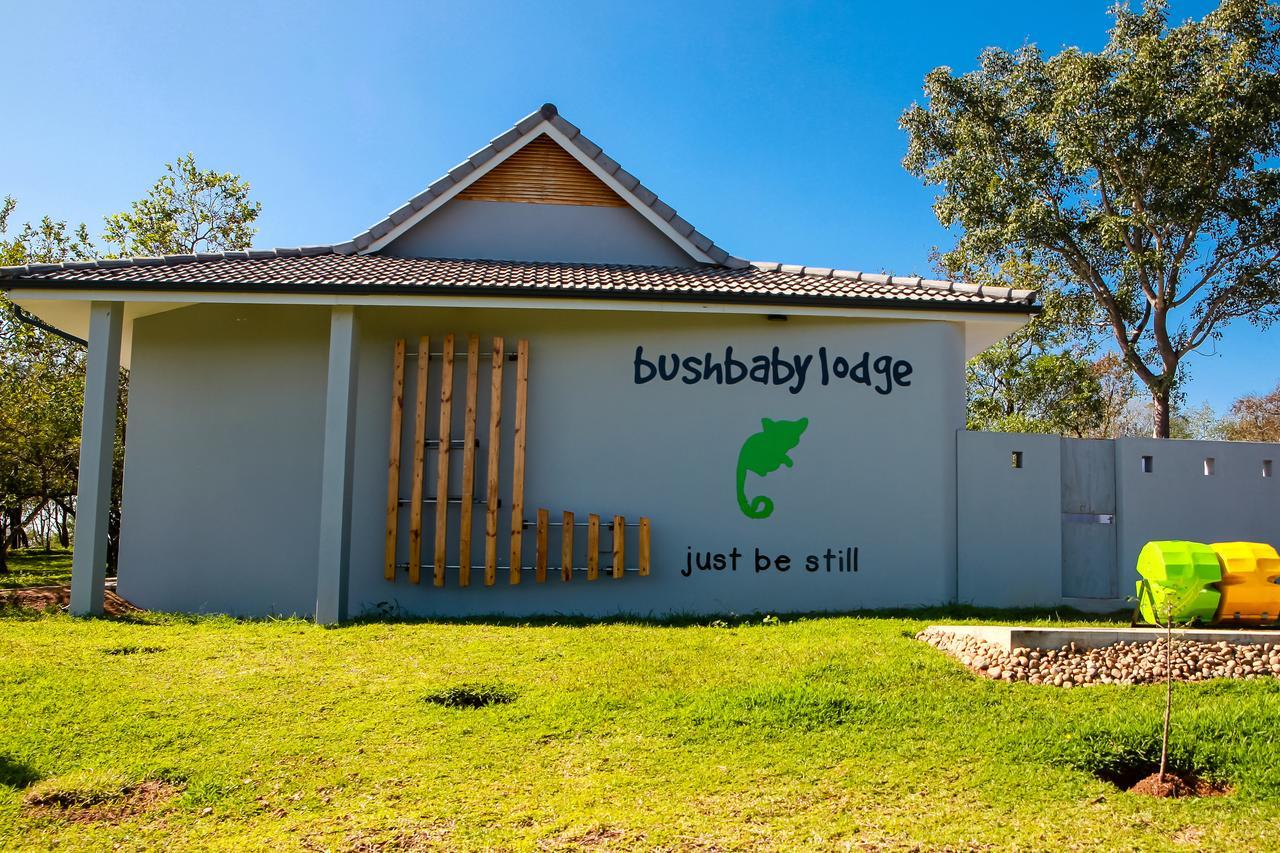 Bushbaby Lodge At Nkonyeni Μανζίνι Εξωτερικό φωτογραφία